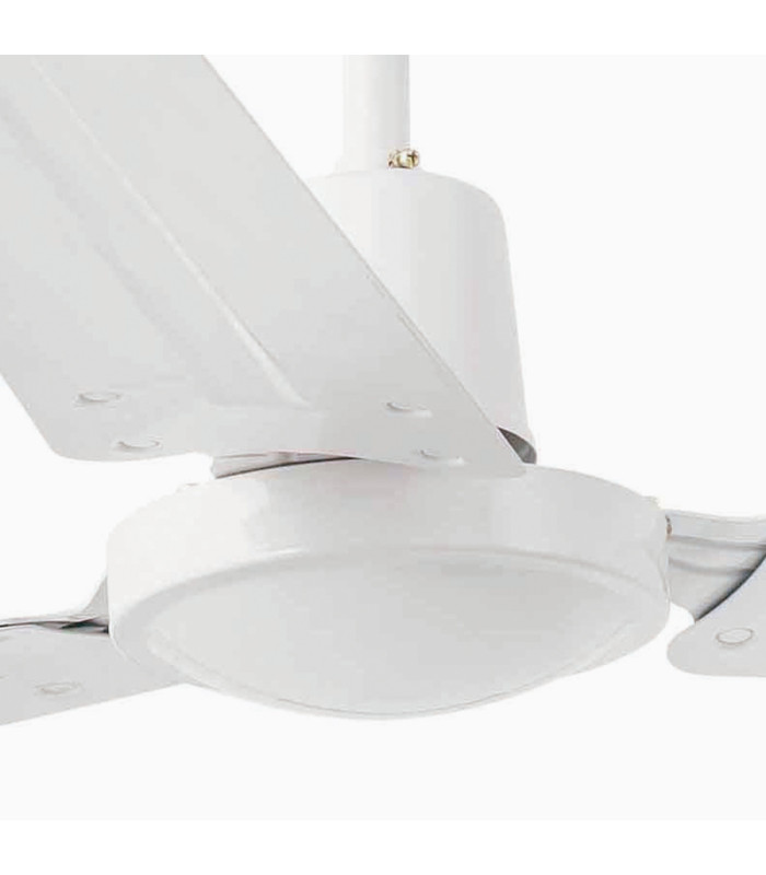 Indus L White Fan-4