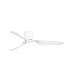 Pemba L White Fan-1