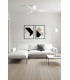 Pemba L White Fan-2