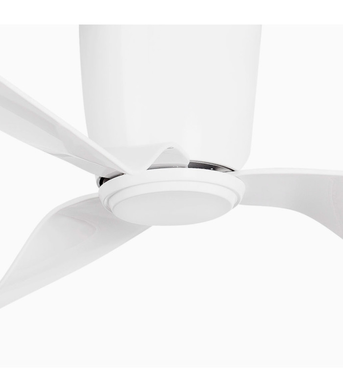 Pemba L White Fan-4