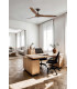 Morea L Brown/Walnut Fan-2