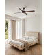 Polea L Brown/Walnut Fan-2