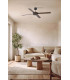 Polea L Brown/Walnut Fan-3