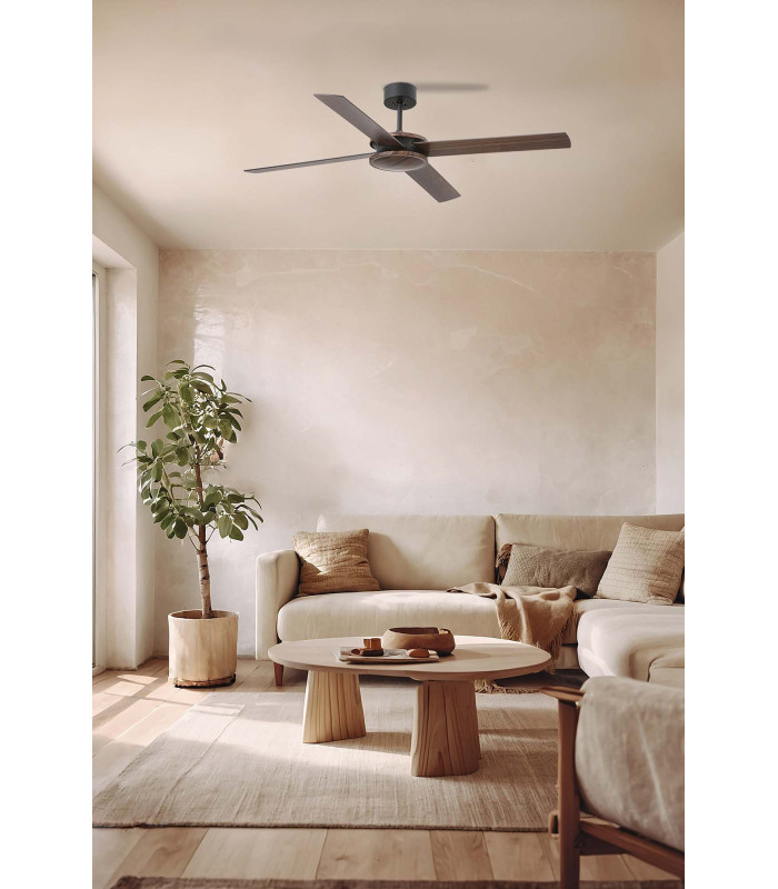 Polea L Brown/Walnut Fan-3