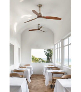 Deco Fan M Gold/Walnut Fan-2