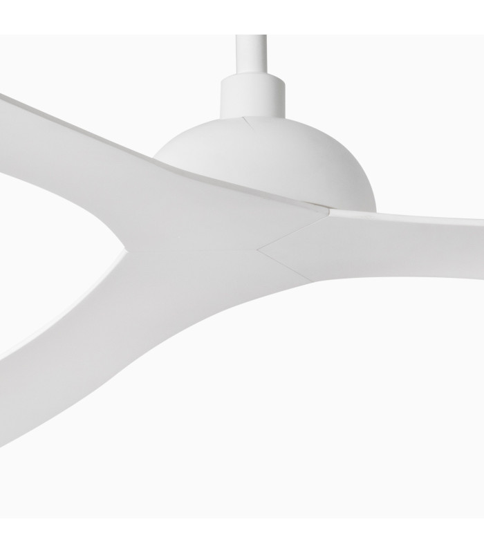 Gotland L White Fan-4