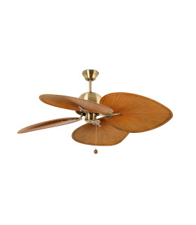 Cuba L Old Gold/Brown Fan-1