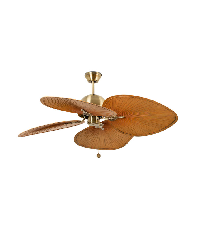 Cuba L Old Gold/Brown Fan-1