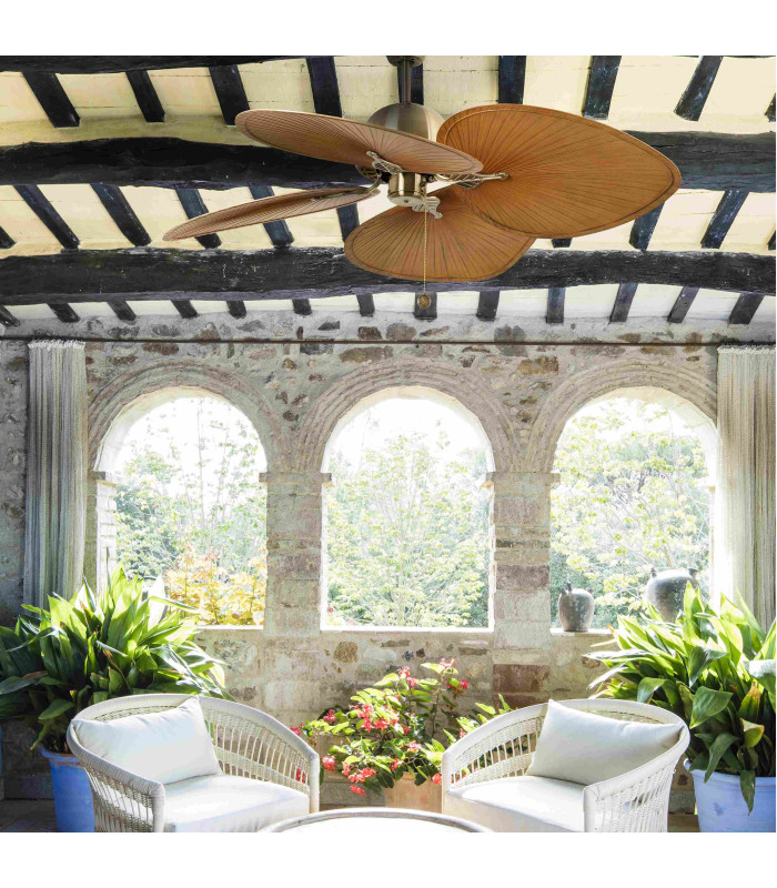 Cuba L Old Gold/Brown Fan-3
