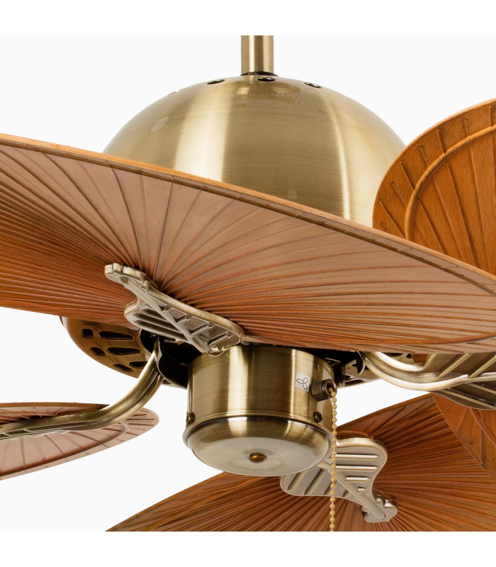 Cuba L Old Gold/Brown Fan-4