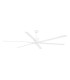 Andros Xxl White Fan-1