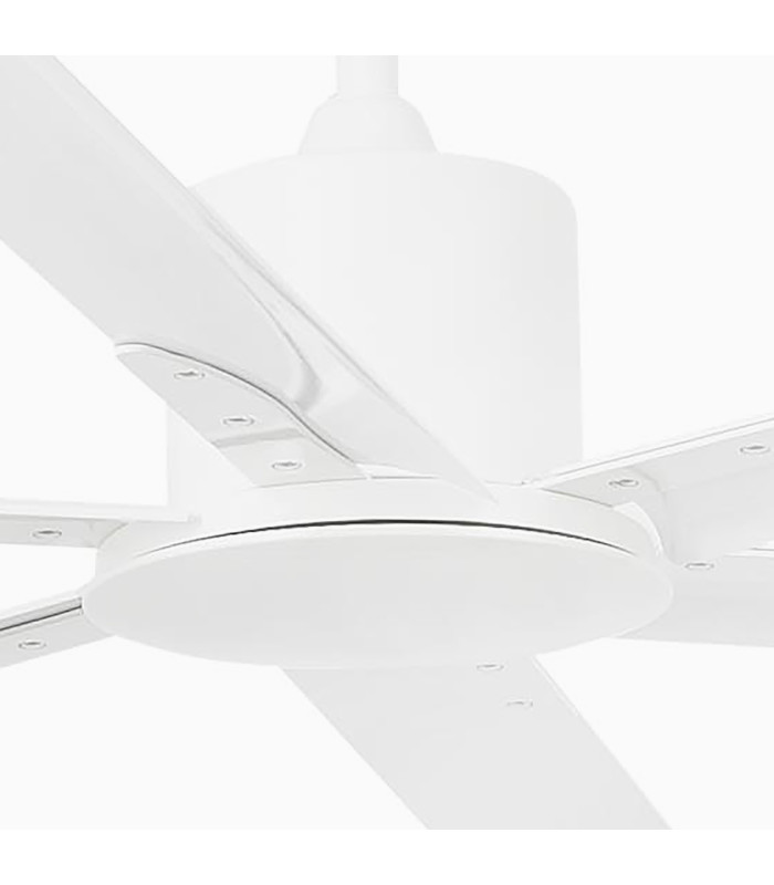 Andros Xxl White Fan-3