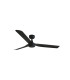 Punt M Black Fan-1