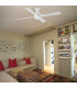 Fraser M Led White Fan-4