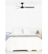 Punt M Black Fan-2