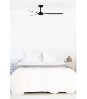 Punt M Black Fan-2