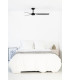 Punt M Black Fan-3