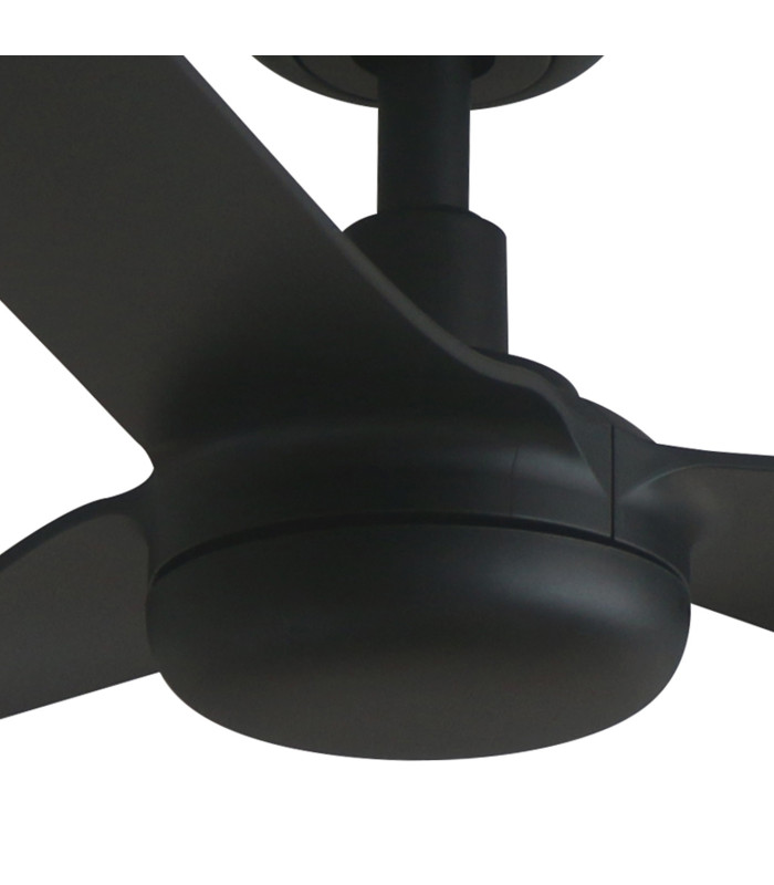 Punt M Black Fan-5