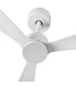 Amelia White Fan-4