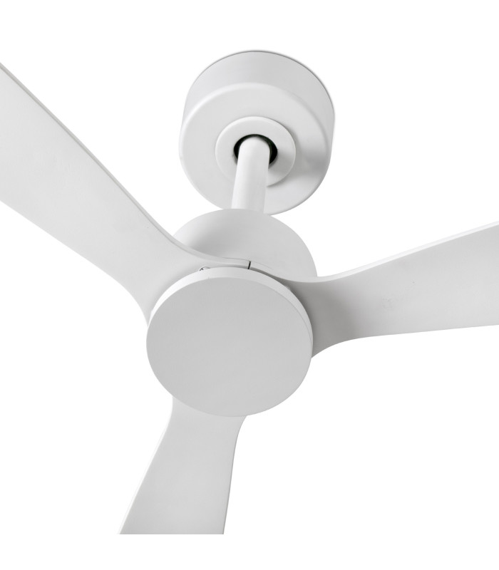 Amelia White Fan-4