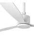 Amelia White Fan-5