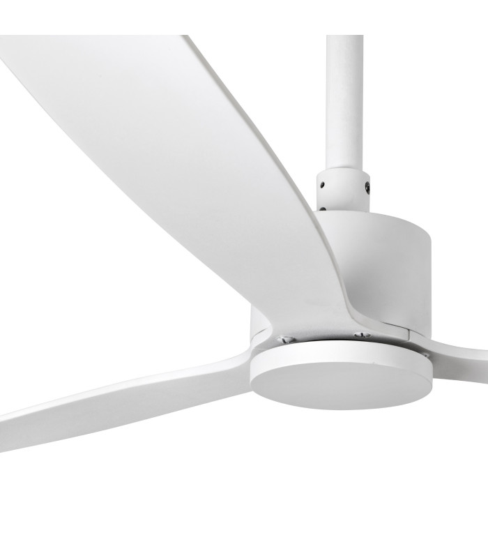 Amelia White Fan-5