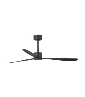 Amelia Black Fan-1