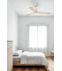 Lantau L Matt Nickel/Pine Fan Fsc-2