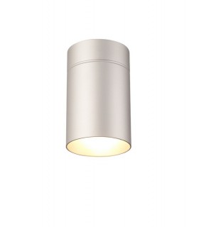 Flush Large 12cm Round 1 x E27, Silver - 1