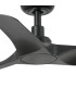 Hey S Black Fan-3