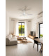 Luzon L White Fan-2