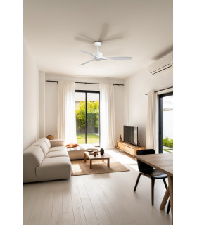 Luzon L White Fan-2