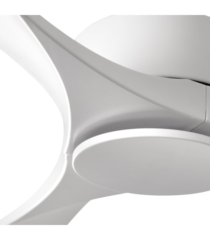 Luzon L White Fan-3