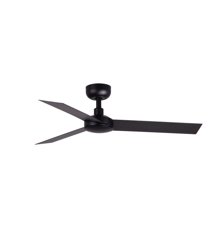Cruiser S Black Fan-1