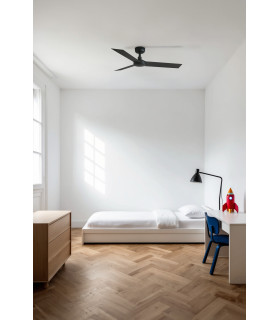 Cruiser S Black Fan-2