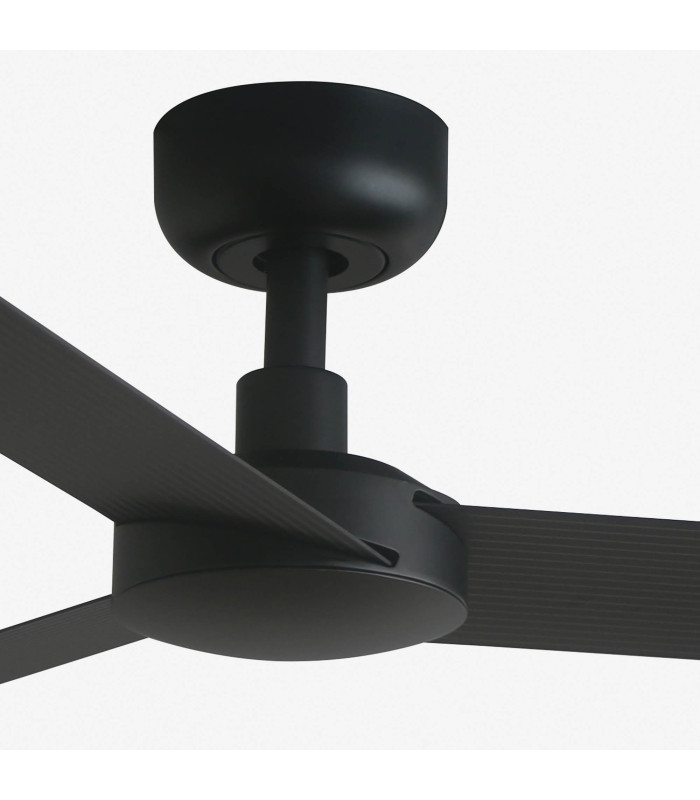 Cruiser S Black Fan-3