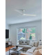 Cruiser L White Fan-2