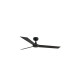 Cruiser L Black Fan-1