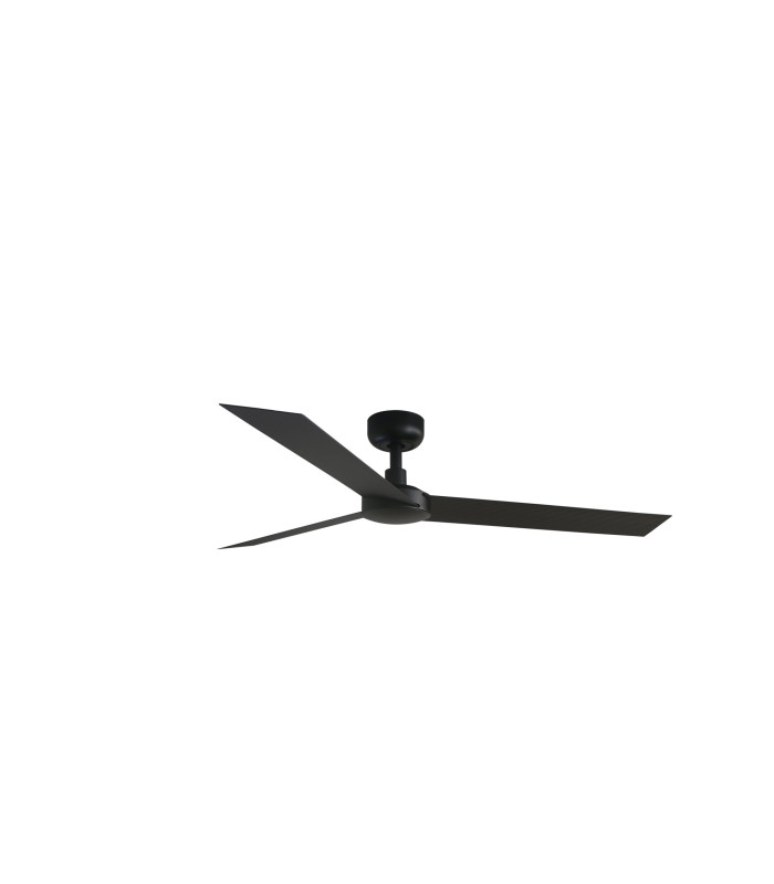 Cruiser L Black Fan-1