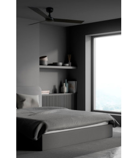 Cruiser L Black Fan-2