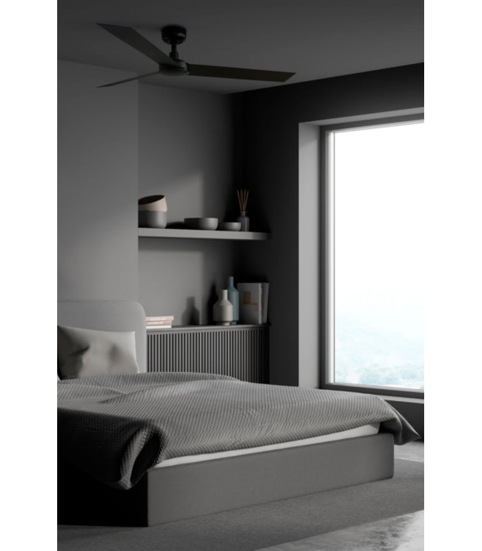 Cruiser L Black Fan-2