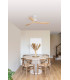 Lantau L White/Pine Fan-2