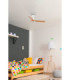 Mini Punt S White/Light Wood Fan-2