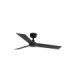 Rudder S Black/Walnut Fan-4