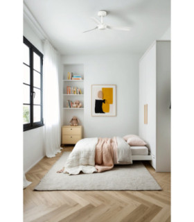 Mini Punt S White Fan-2