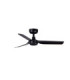 Mini Punt S Black Fan-1