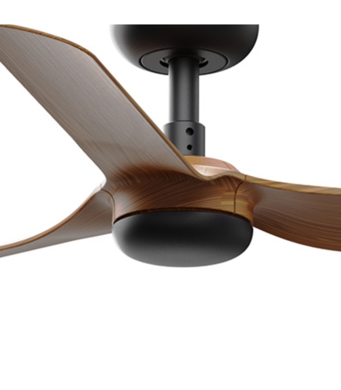 Mini Punt S Black/Walnut Fan-3