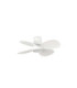 Klover S White Fan-1