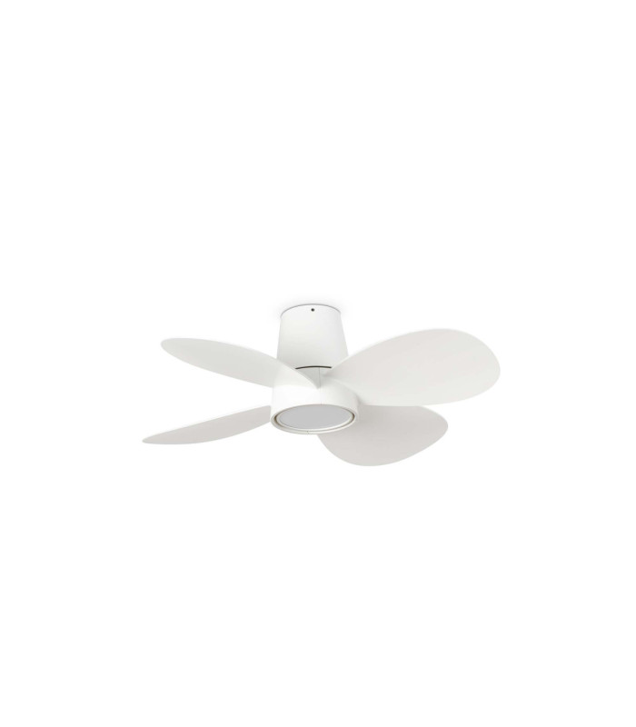 Klover S White Fan-1