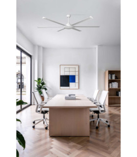Rotterdam 20 Xl White Fan-2